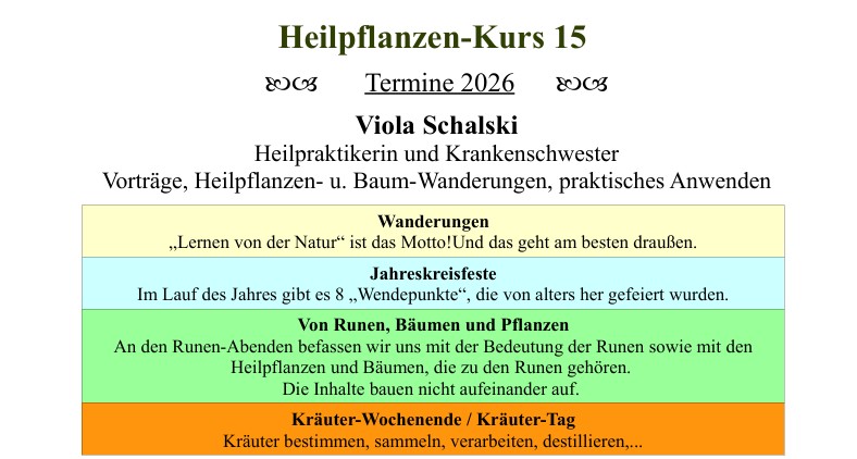 Flyer 3